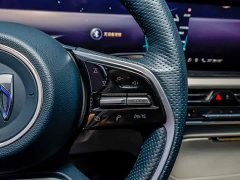 Buick Century 2.0T Four-Seater Private Edition - ფოტო 15