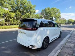 Denza D9 DM-i 965 Premium Edition - ფოტო 8