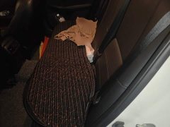 Nissan Sylphy 1.6L XL CVT Comfort Edition - photo 13