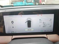 Leapmotor C11 Luxury - ფოტო 6