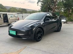 Tesla Model Y Rear-Wheel Drive - ფოტო 1