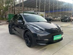 Tesla Model Y Rear-Wheel Drive - ფოტო 11