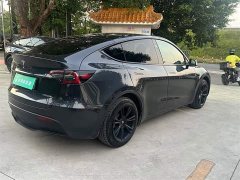 Tesla Model Y Rear-Wheel Drive - ფოტო 12