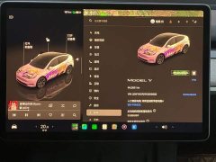 Tesla Model Y Rear-Wheel Drive - ფოტო 13