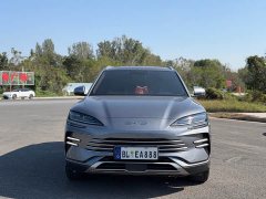 BYD Song Plus New Energy DM-i 110km Flagship Honors Edition - фото 2