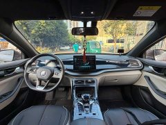 BYD Qin Plus DM-i 55KM Flagship - ფოტო 13