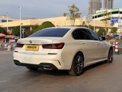 BMW 3 Series 320Li M Sport Package - photo 7