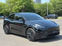 Tesla Model Y Rear-Wheel Drive - ფოტო 3
