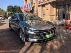 BYD Destroyer 05 Champion Edition DM-i 120KM Luxury - ფოტო 1