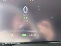 Voyah Dream PHEV Extended Range Luxury Edition - ფოტო 7