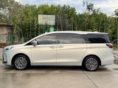 Buick GL8 New Energy Luushang Advance Edition - ფოტო 3