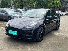 Tesla Model Y Long Range All-Wheel Drive - ფოტო 1