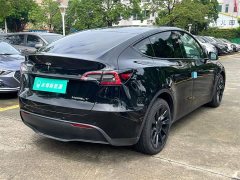 Tesla Model Y Long Range All-Wheel Drive - ფოტო 12