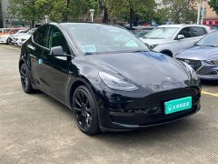 Tesla Model Y Long Range All-Wheel Drive - ფოტო 13
