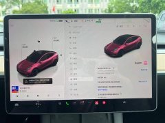 Tesla Model Y Long Range All-Wheel Drive - ფოტო 14