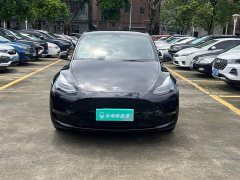 Tesla Model Y Long Range All-Wheel Drive - ფოტო 2