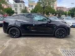 Tesla Model Y Long Range All-Wheel Drive - ფოტო 9