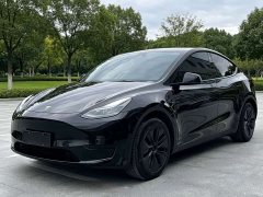 Tesla Model Y Rear-Wheel Drive - ფოტო 1