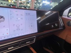 Li Auto L6 Pro - ფოტო 13