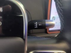 Li Auto L6 Pro - ფოტო 16