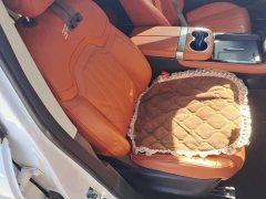 Jetour Jietu Shanhai L7 1.5T 120km MAX 5-seater - фото 8