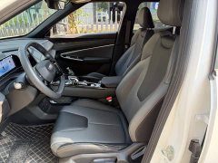 Geely Boyue 1.5TD Longteng Edition - фото 8