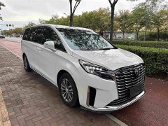 Buick GL8 ES Luxe Enjoyment Edition - ფოტო 3