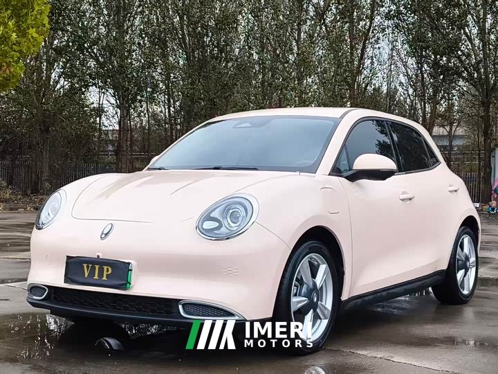 ORA Good Cat 401km Standard Range Deluxe Ternary Lithium - car from China