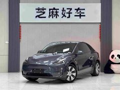 Tesla Model Y Standard Range RWD - ფოტო 1