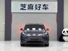 Tesla Model Y Standard Range RWD - ფოტო 2
