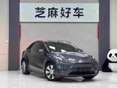 Tesla Model Y Standard Range RWD - ფოტო 3