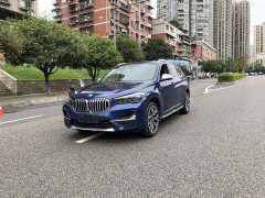 BMW X1 xDrive25Li Premium - ფოტო 1