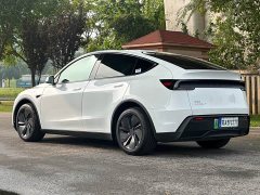Tesla Model Y Rear-Wheel Drive - ფოტო 16