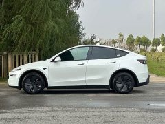 Tesla Model Y Rear-Wheel Drive - ფოტო 18
