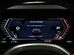 BMW M4 Coupe Thunder Edition - ფოტო 10