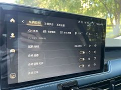 Lincoln Adventurer 2.0T 2WD Edition - фото 11