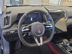 FAW Red Flag HS3 PHEV 117km Dynamic Edition - ფოტო 15