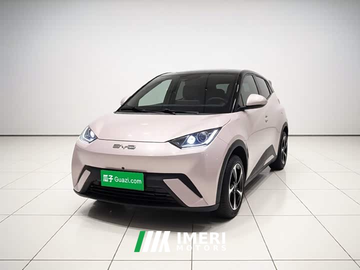 BYD Seagull Vitality Edition - ავტომობილი ჩინეთიდან