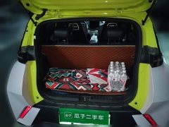 BYD Seagull Vitality Edition - ფოტო 20