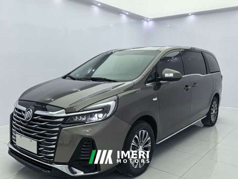 2023 Buick GL8 Land Business Class Smart Edition