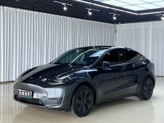 Tesla Model Y Rear-Wheel Drive - ფოტო 1