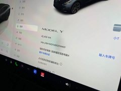 Tesla Model Y Rear-Wheel Drive - ფოტო 17