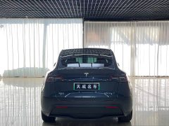Tesla Model Y Rear-Wheel Drive - ფოტო 5