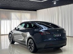 Tesla Model Y Rear-Wheel Drive - ფოტო 6