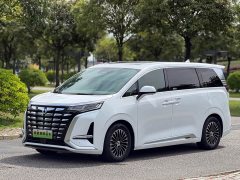 Denza D9 DM-i 1040 Premium - ფოტო 1