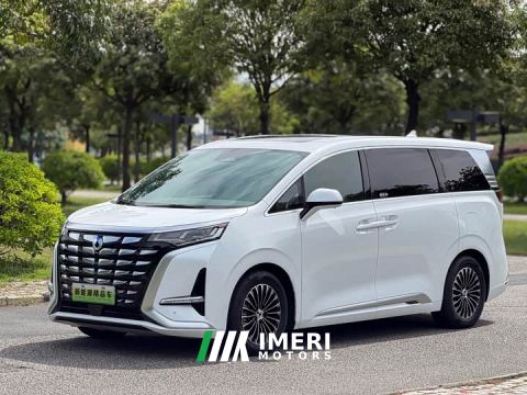 2023 Denza D9 DM-i 1040 Premium
