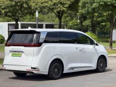 Denza D9 DM-i 1040 Premium - ფოტო 3