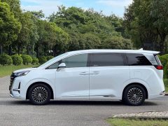 Denza D9 DM-i 1040 Premium - ფოტო 6