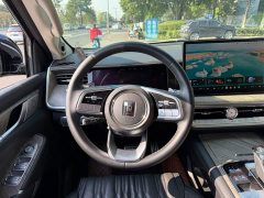 Tank 500 3.0T Sport Landscape 5-Seater - фото 14