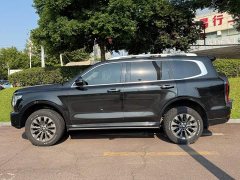 Tank 500 3.0T Sport Landscape 5-Seater - фото 3